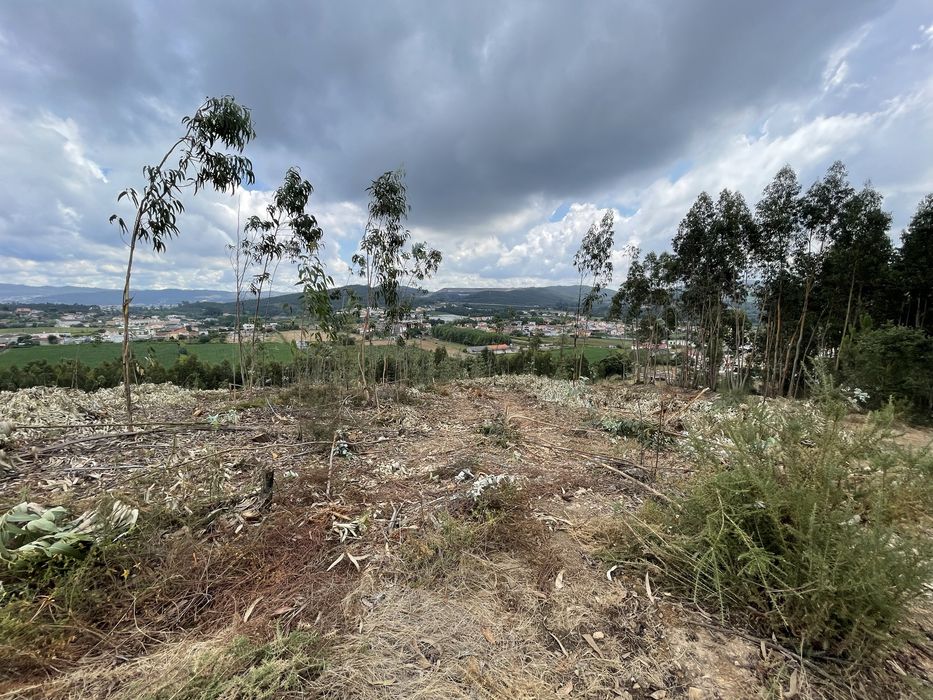 Terreno Alfena com 545m2