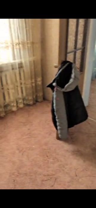 Дом переселенцам за коммуналку