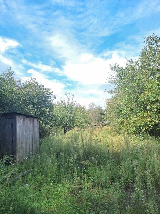 с. Микуличі, Немешаєво, Ворзель, Буча. 20 км від Києва. Дача у лісі!