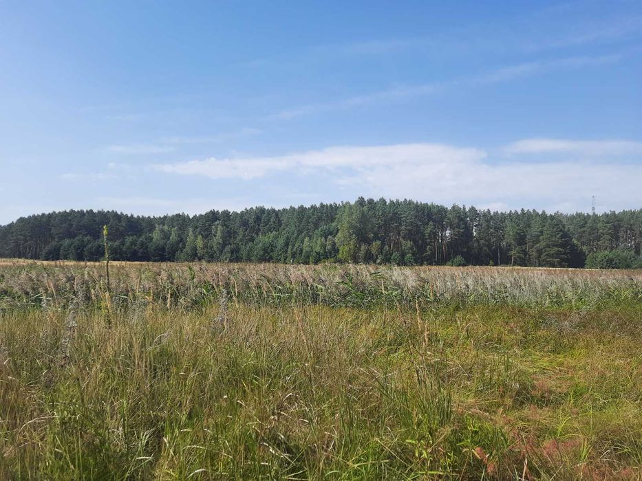 Димер, 24 га, ОСГ. Поруч ліс і  вода