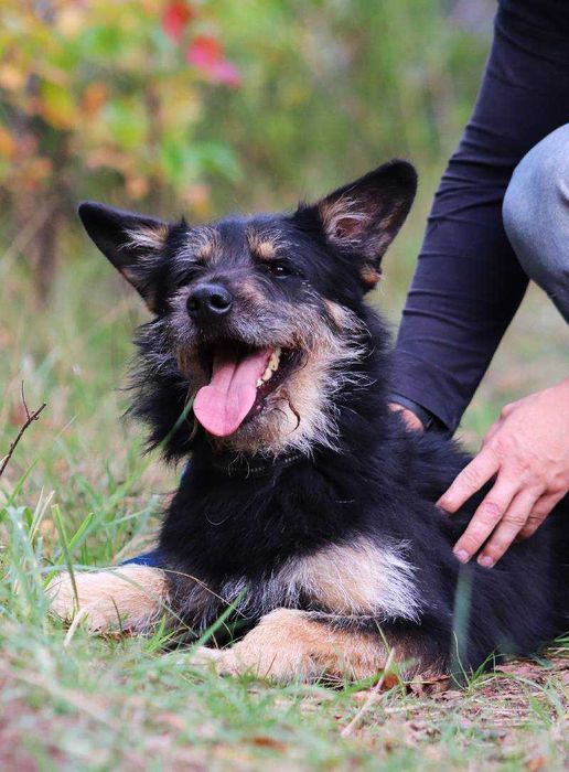 Bandziorek co kocha najbardziej