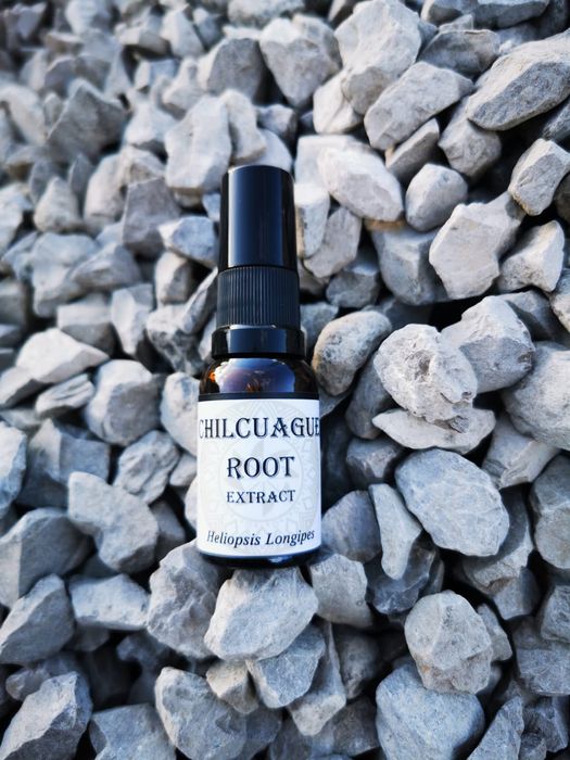 Tintura Spray Chilcuague