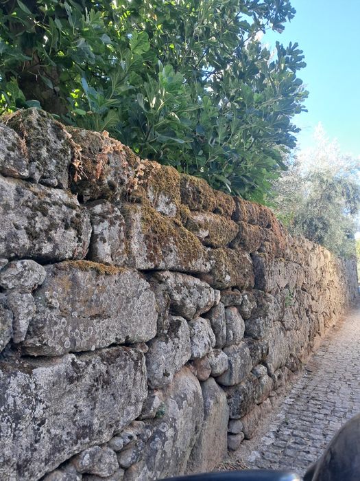 Duas casas com quintal e terreno
