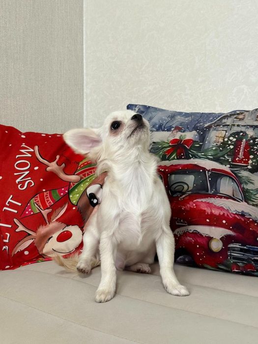 Дуже гана дитина