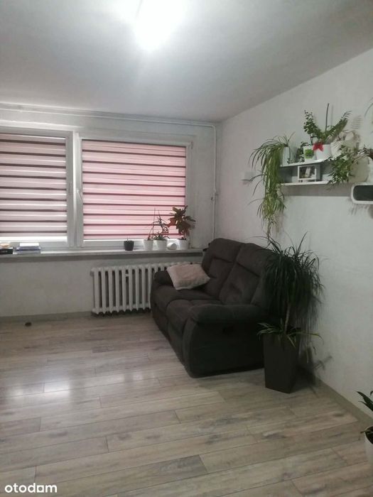 2 Pokoje do zamieszkania od zaraz przy ul. 3 Maja Oława