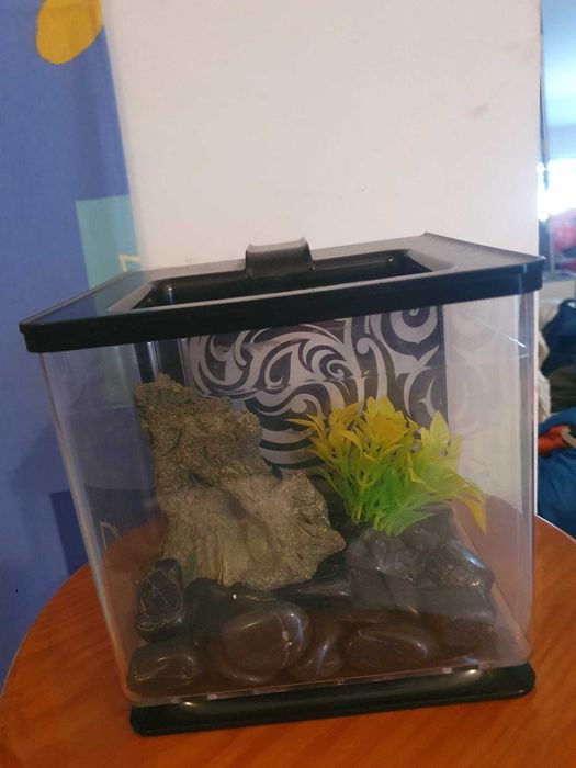 Aquario preto formato pequeno