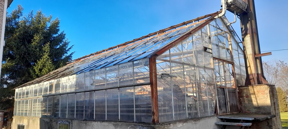 Stalowa konstrukcja szklarni+mnożarka