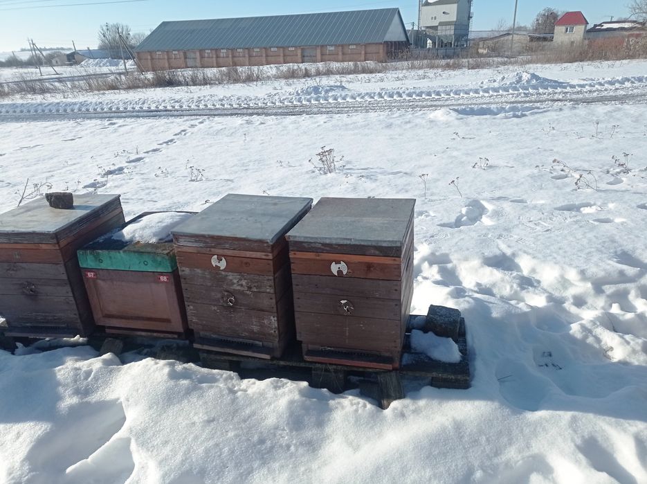 Вулик багато корпусний 10-ти рамковий