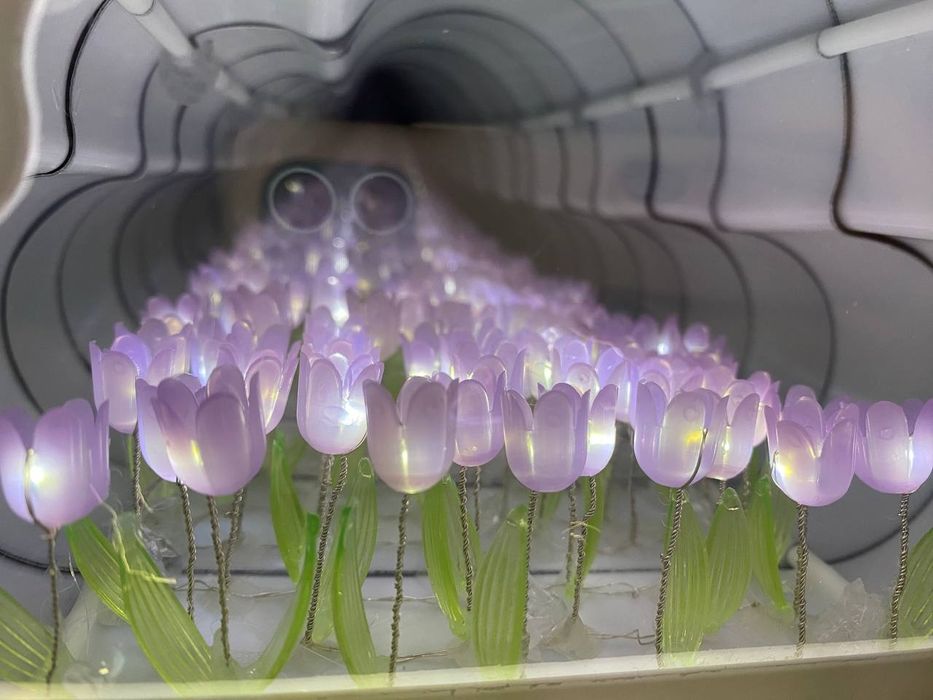 Подарунок на 8 березнянічник з тюльпанами, безкінечні квіти в хмаринкі