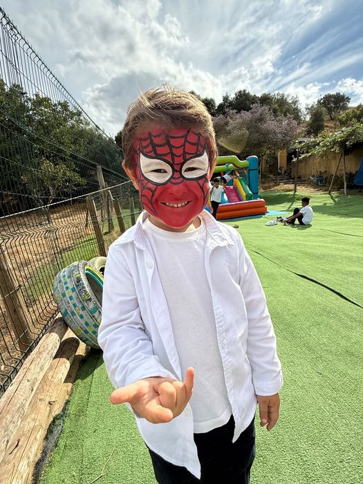 Festas _ Pinturas Faciais