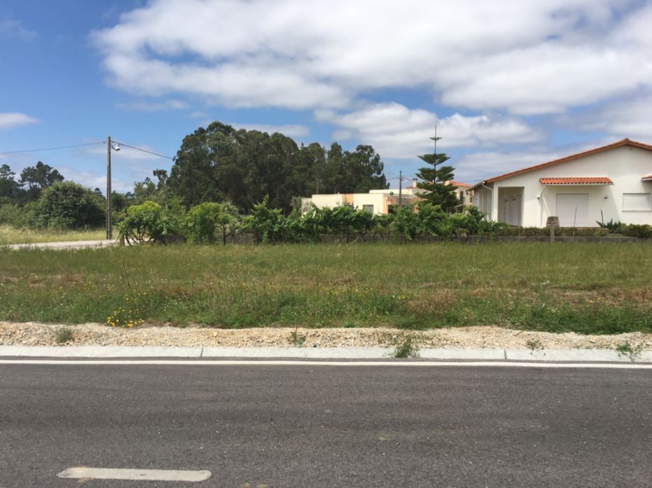 Terreno- Seixo- Gatões