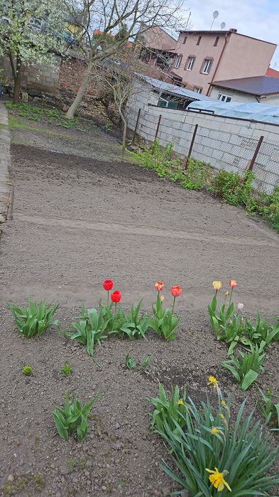 Bezczynszowe mieszkanie z ogródkiem, 79,40m