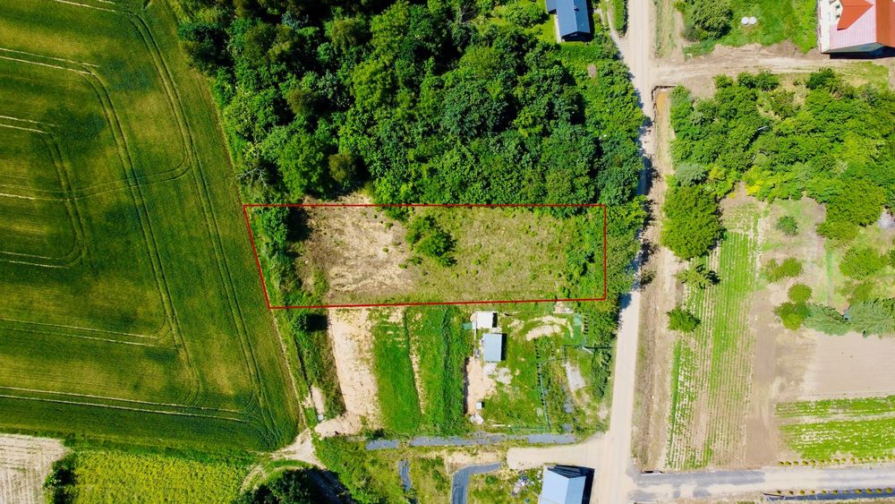 Pałecznica, 4 działki, 95 ar. WZ. Prywatnie.