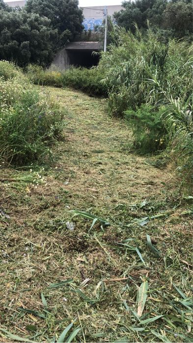 Serviços  de Escavações, Demolições e Limpezas de Terrenos