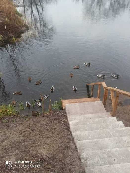 105 Аренда дома коттеджа баня чан барбекю Киев Славутич