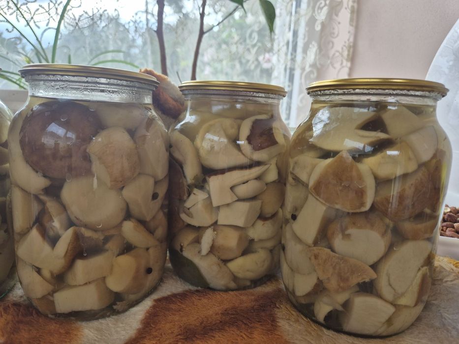 Гриби мариновані білі