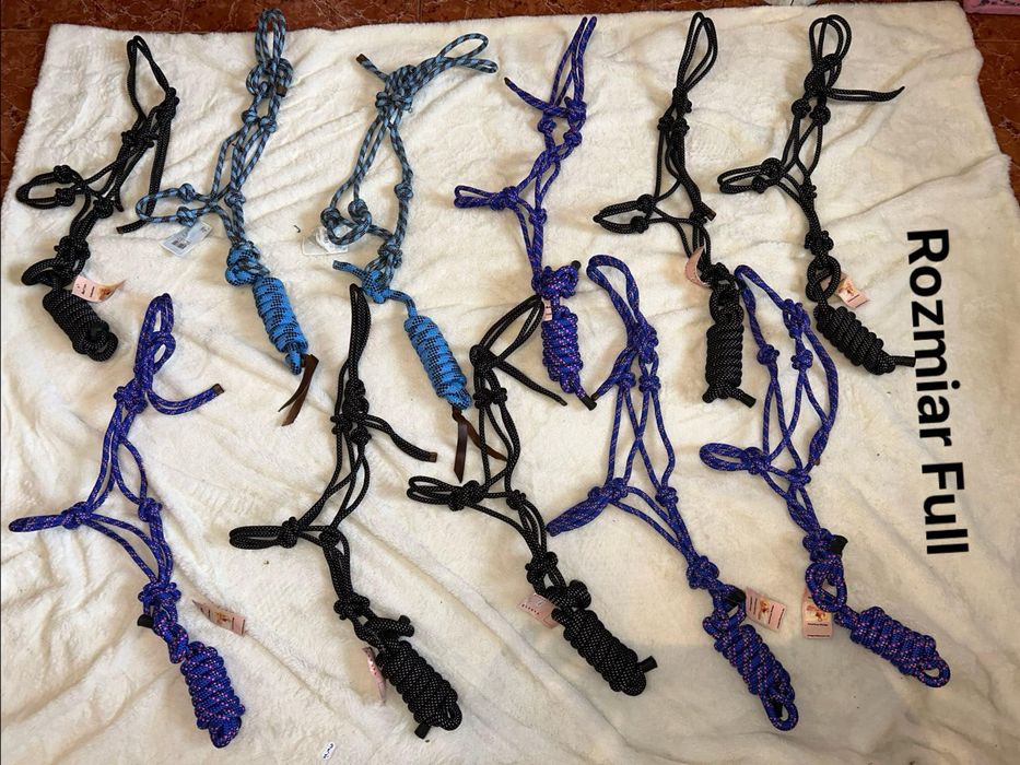 Czarny halter dla konia