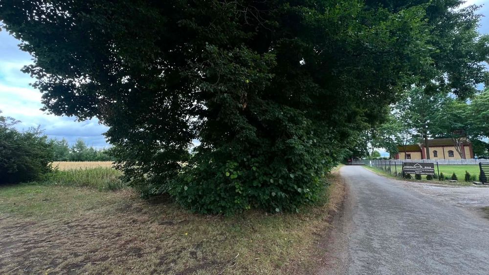 Działka nad J. Białym, gm. Gostynin, MPZP (5U), pod zabudowę użytkową - Widok 4
