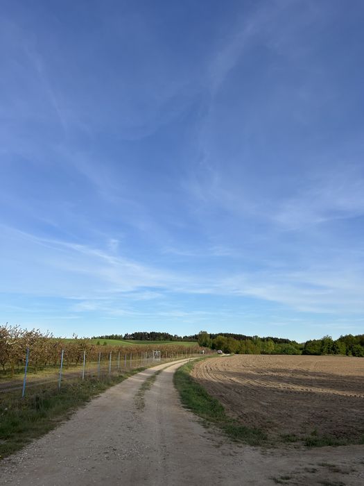 Piękna działka 1948m2 na Mazurach, Łążyn, z własnym laskiem