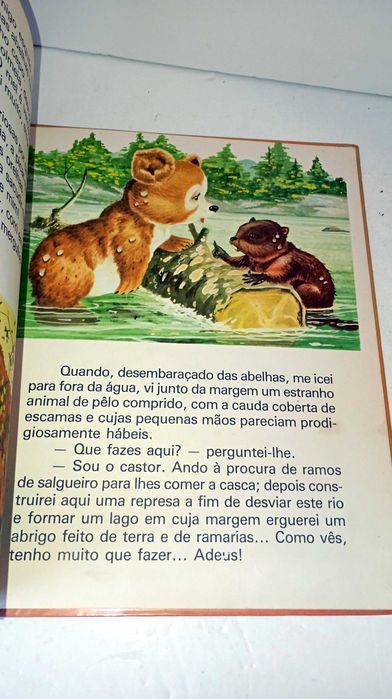 Ursinho e os seus Amigos
