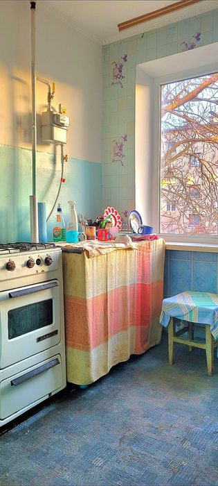 1 Кімнатна.Дендропарк.Вул.А.Корольова.