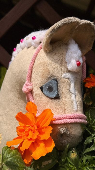 Hobby Horse ze sprzętem
