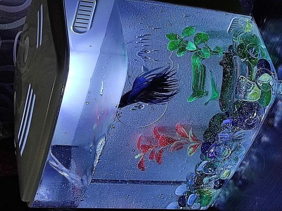 Акваріум комплект SunSun ATS-220 4 літрів