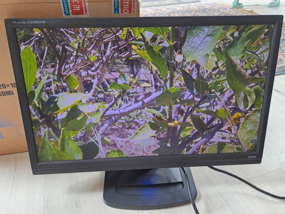 Monitor iiyama Prolite E2280HS-B1 22'' FULL HD LED