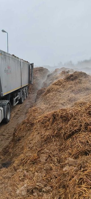 Obornik kurzy brojler