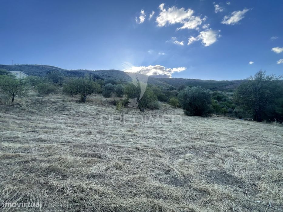 Lote de Construção em Murça – Vila Nova de Foz Côa (4.650 m²) — Freixo De Numão, Guarda