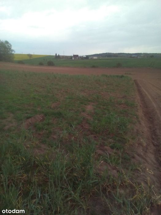 Dzialki budowlane.