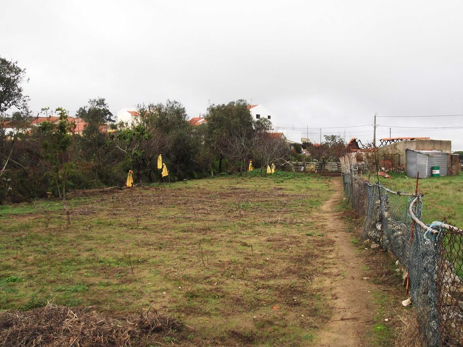Terreno com Ruína e Projeto: Vista Serra de Sintra (Sacotes)