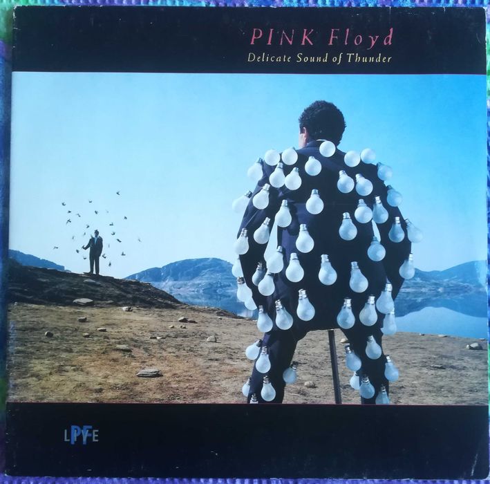 Pink Floyd - Delicate sound of thunder - podwójna płyta winylowa