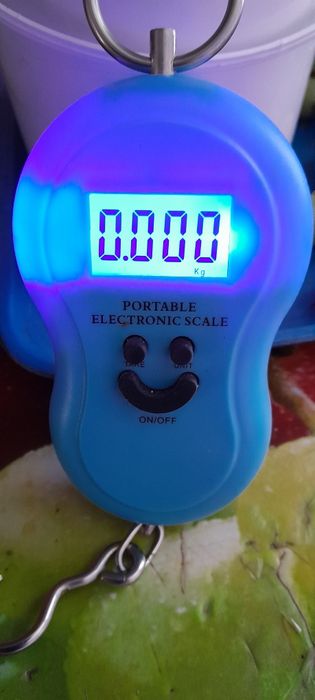 Весы электронные