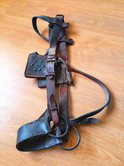 Cabresto couro genuíno século XX decoração equitação