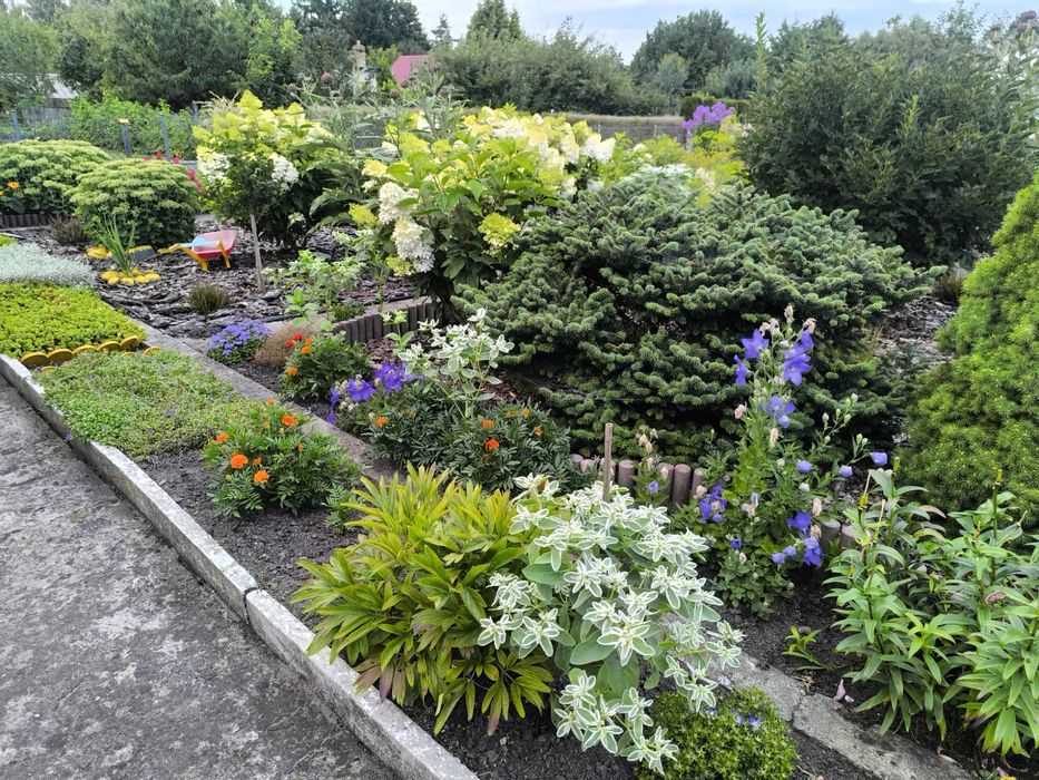 Działka ROD Goleniów