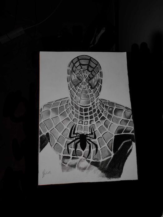 Desenho realista Homem-aranha Feito à mão Com quadro incluído