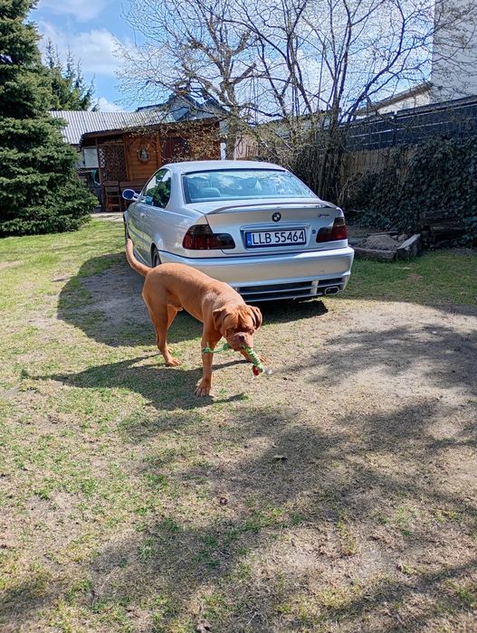 BMW 3 COUPE 2,5 benzyna+gaz "silwer"