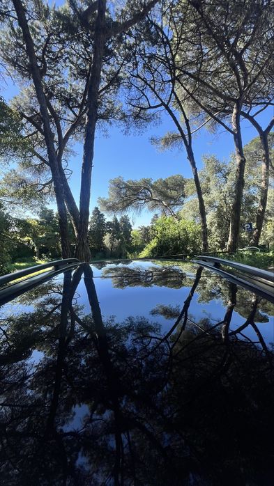 Jeep Renegade Trailhawk 4x4 2.0 170cv