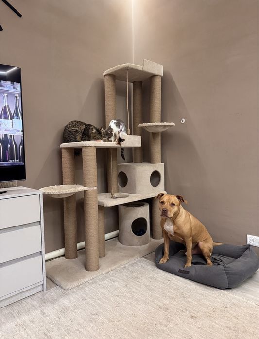 б/у Комплекс для котів maxi size
