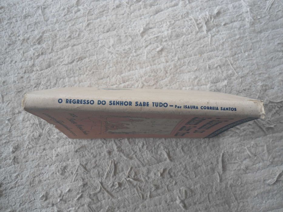 O Regresso do Senhor Sabe Tudo por Isaura Correia santos