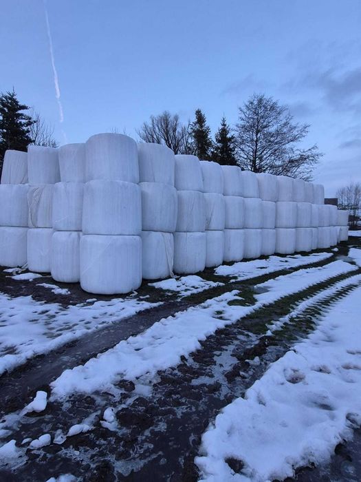 baloty traw siewnych z 2024r. Sianokiszonka z prasy pasmowej 230zł/szt