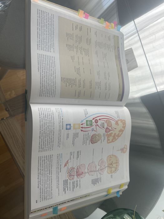 Anatomia e Fisiologia Seeley 8 ediçao