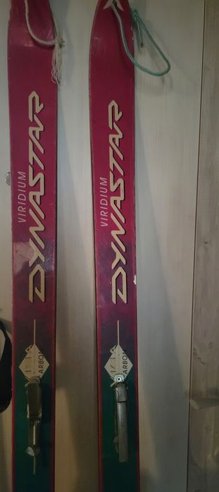 Лыжи Dynastar Viridium(Франція)