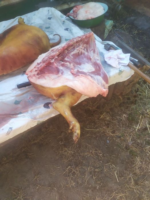 Домашня  свинина