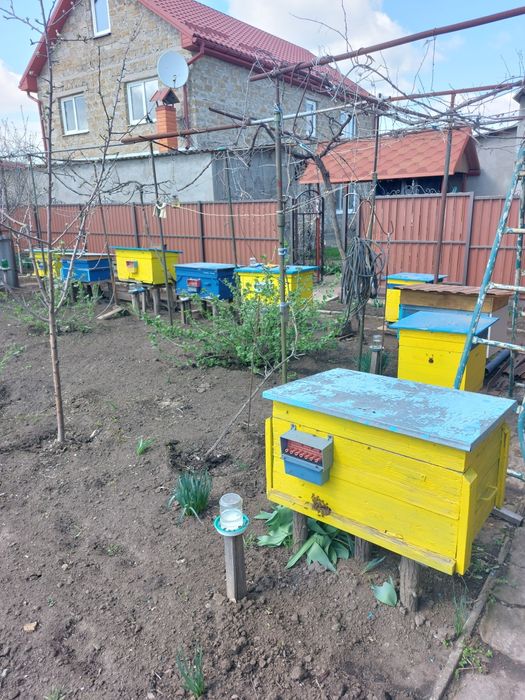 Продаю пассику в с. Визирка