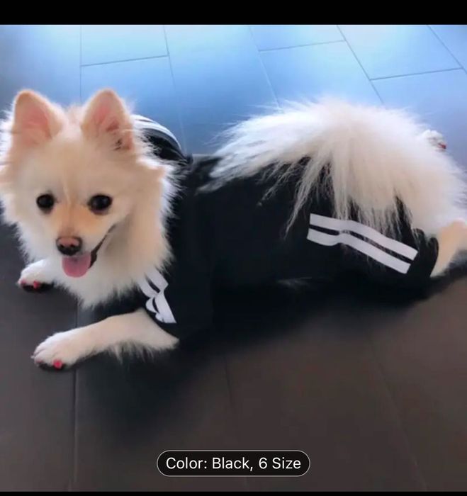 Комбінезон на собаку