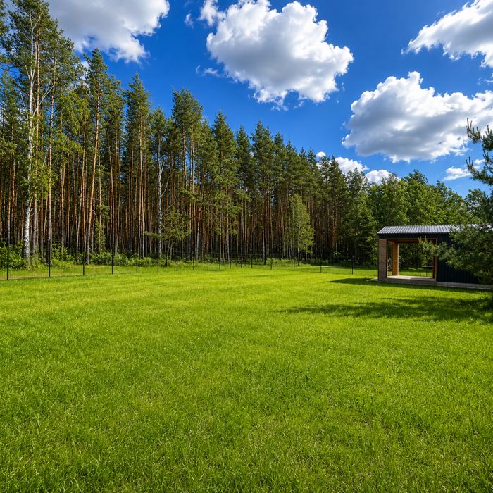 Продам  будинок біля лісу.  Без комісії!  Вишгородський район. - View 5