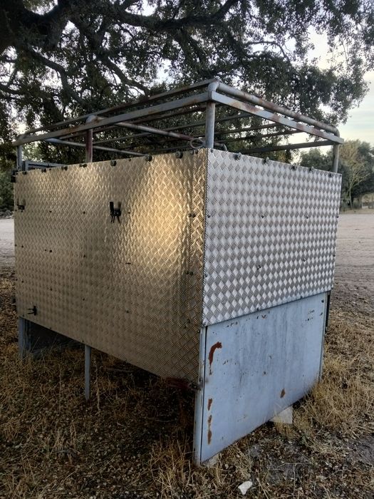 Caixa de transporte de animais