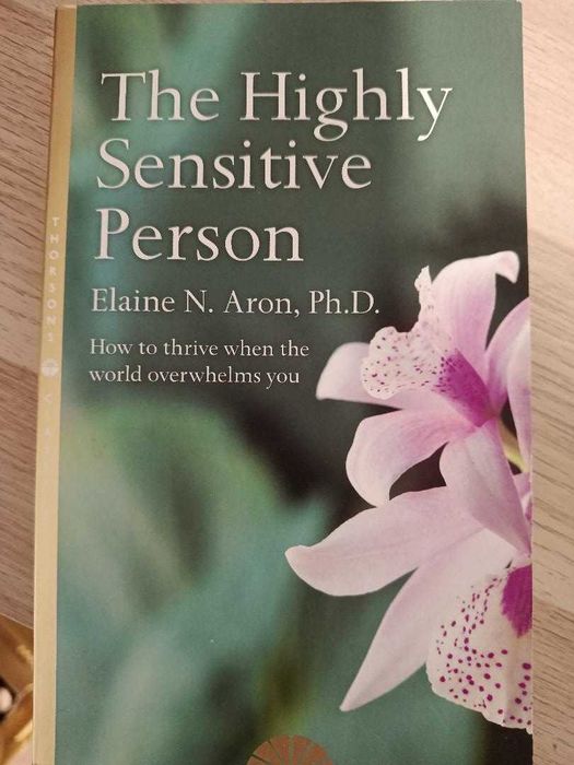 Livro "The Highly Sensitive Person" em Ingles USADO